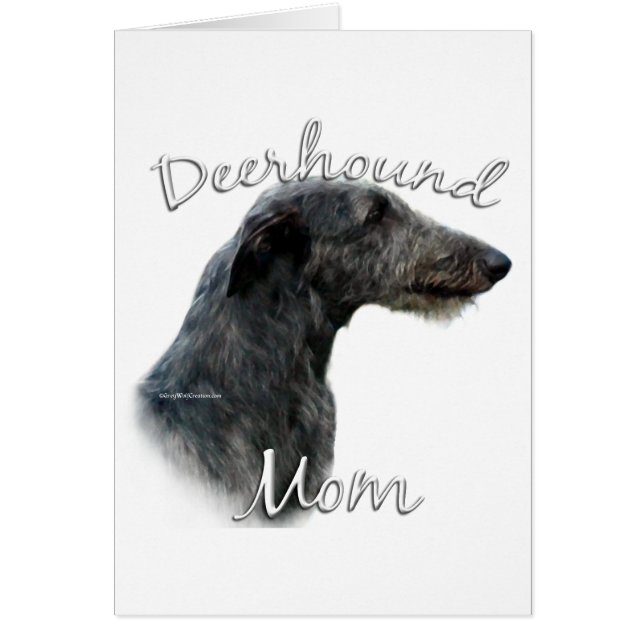 Scottish Deerhound Mum 2 (Front)