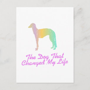 Scottish Deerhound Postcard