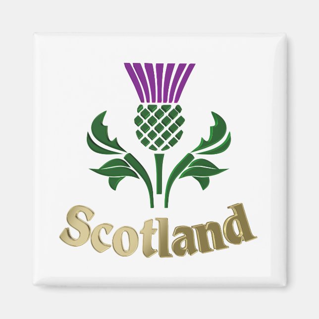 Scottish emblem thistle magnet (Front)
