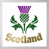 Scottish emblem thistle