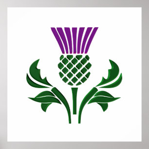 Scottish emblem thistle poster