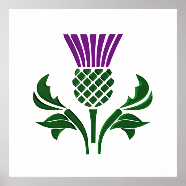 Scottish emblem thistle poster (Front)