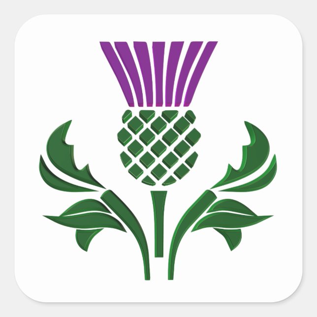 Scottish emblem thistle square sticker (Front)