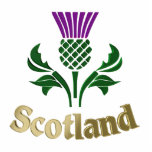 Scottish emblem thistle standing photo sculpture<br><div class="desc">Scottish emblem thistle</div>