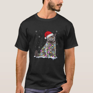 Scottish Fold Cat Funny Christmas Lights Sweater X