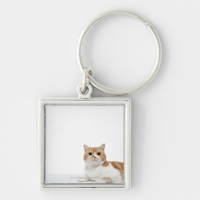 Scottish Fold Cat Key Ring (Front)