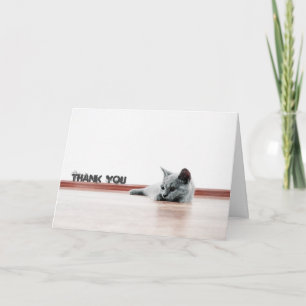 Scottish Fold Cat Kitten Super Cute "Thank You" Thank You Card