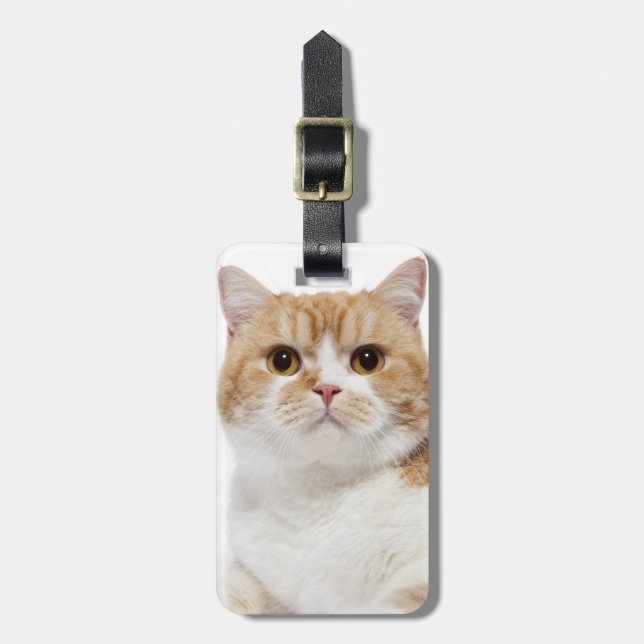 Scottish Fold Cat Luggage Tag (Front Vertical)
