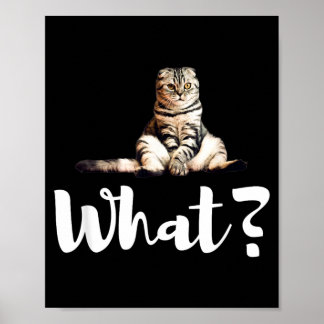 Scottish Fold Cats Funny What Cute Kitten Gifts Poster