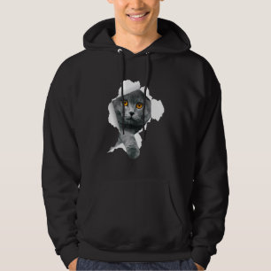 Scottish Fold Cats Torn Cloth Kitten Hoodie