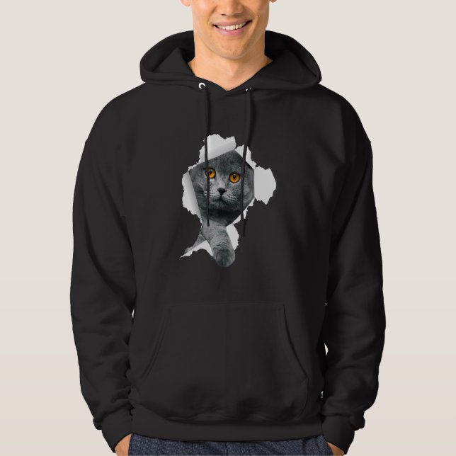Scottish Fold Cats Torn Cloth Kitten Hoodie (Front)