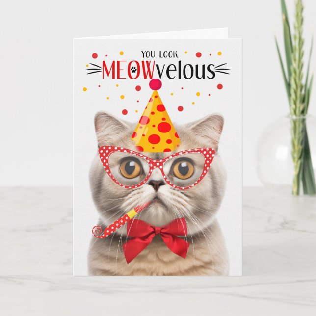 Scottish Fold Cream Cat MEOWvelous Birthday Card (Front)