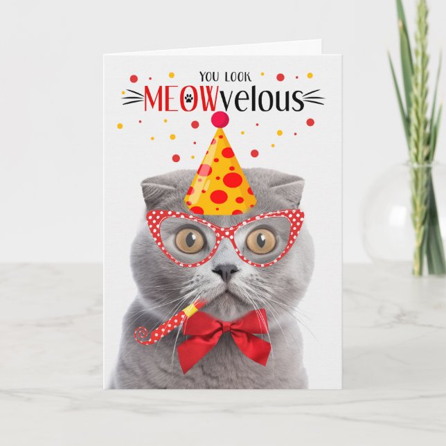 Scottish Fold Grey Cat MEOWvelous Birthday Card (Front)