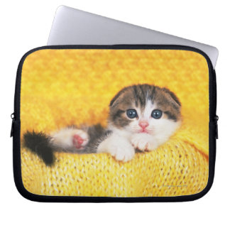 Scottish Fold; is a breed of cat with a natural Laptop Sleeve