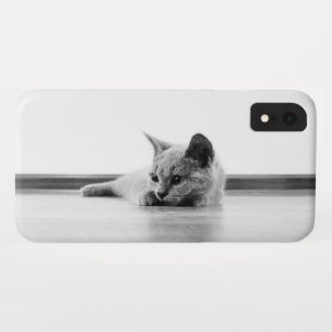 Scottish Fold Kitten Cat Super Cute Case-Mate iPhone Case