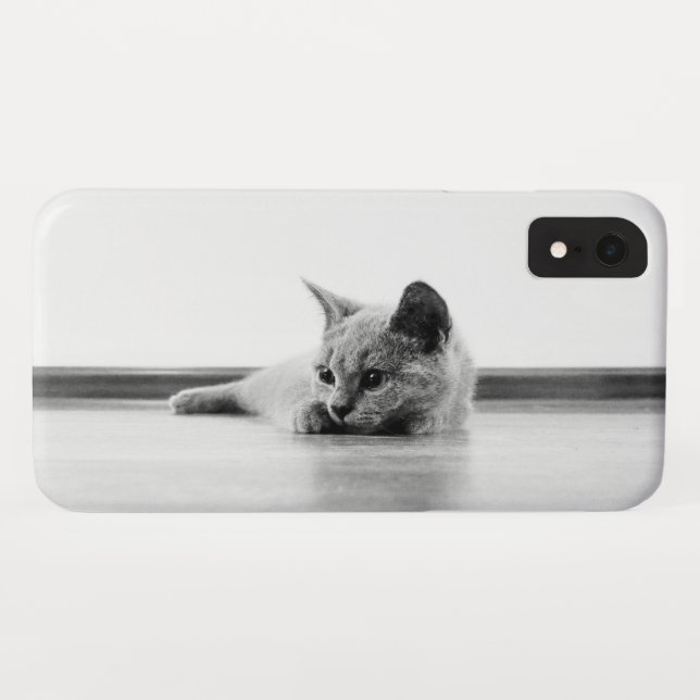 Scottish Fold Kitten Cat Super Cute Case-Mate iPhone Case (Back (Horizontal))