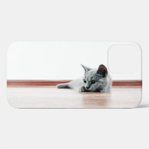 Scottish Fold Kitten Cat Super Cute iPhone 12 Case