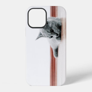 Scottish Fold Kitten Cat Super Cute iPhone 12 Case