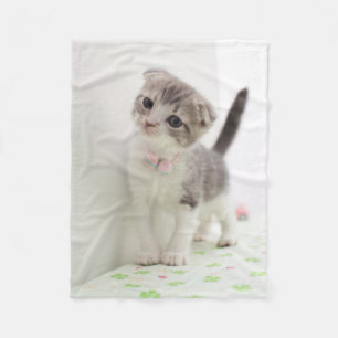 Scottish Fold Kitten Fleece Blanket