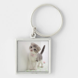 Scottish Fold Kitten Key Ring
