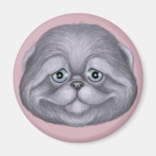 Scottish Fold Kitten Magnet