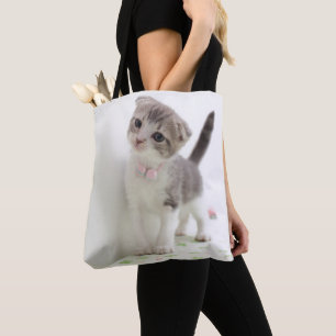 Scottish Fold Kitten Tote Bag