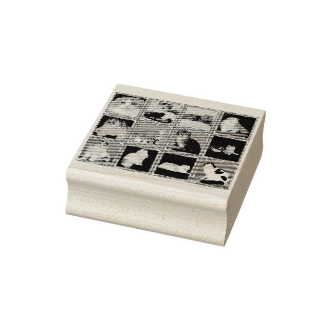 scottish fold mural rubber stamp (Stamp)