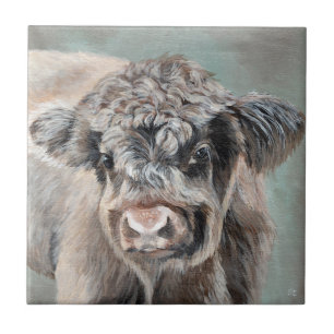 Scottish Highland Calf on Green Tile