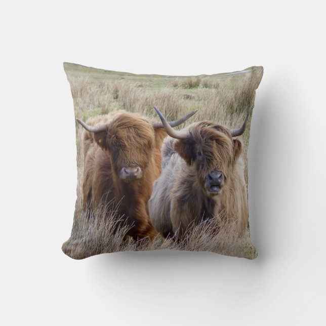 Scottish Highland Cattle Cushion (Front)
