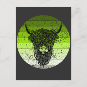 Scottish Highland Cattle Retro Postcard