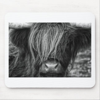 Scottish Highland Cattle - Scotland Mouse Pad