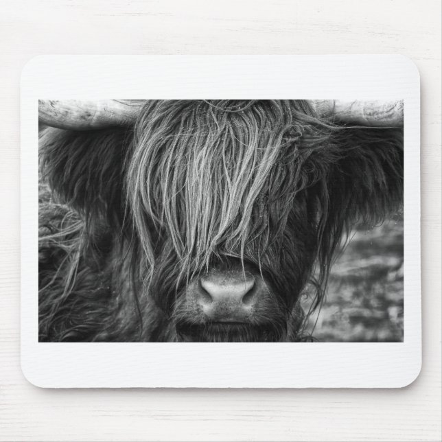 Scottish Highland Cattle - Scotland Mouse Pad (Front)