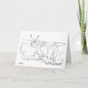 Scottish Highland "Coo" Card