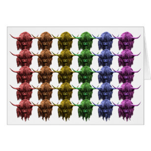 Scottish Highland Cow