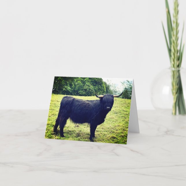 Scottish Highland Cow  <Blank Inside> Thank You Card (Front)