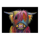 Scottish Highland Cow ' BRaVEHEaRT 2' by Shirley M