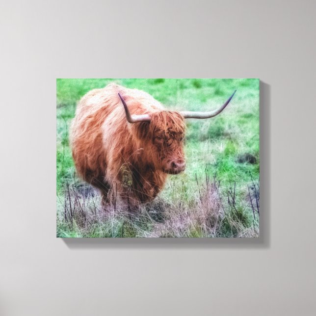 Scottish Highland cow canvas (Front)