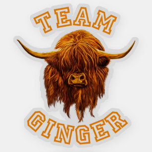 Scottish Highland Cow Celebrates Team Ginger