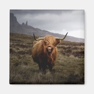 Scottish Highland Cow Fridge Magnet