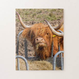Scottish Highland cow Jigsaw Puzzle