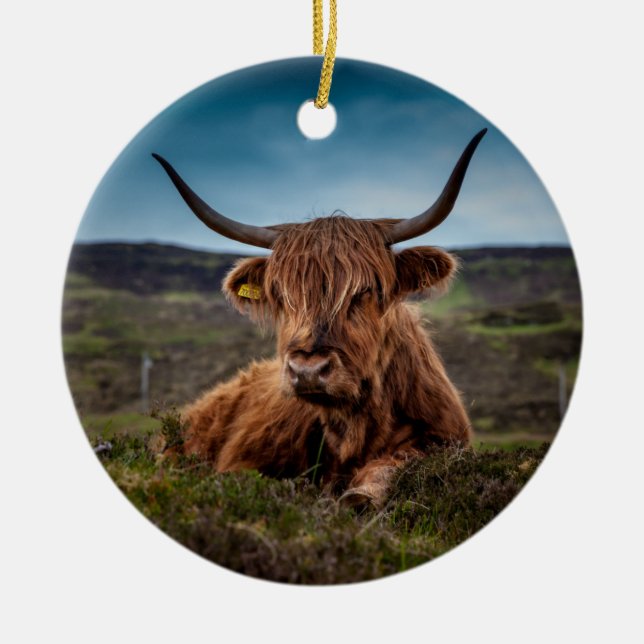 Scottish Highland Cow Longhorn Bull Rancher Ceramic Tree Decoration (Front)