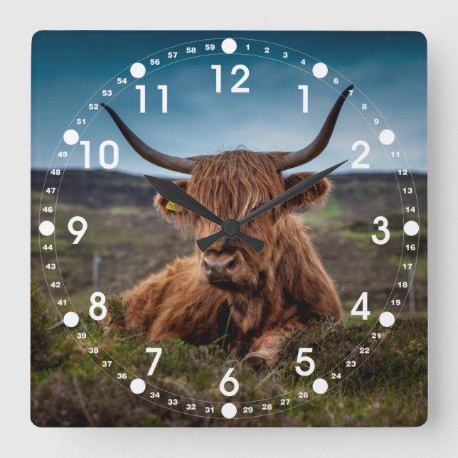 Scottish Highland Cow Longhorn Bull Rancher Square Wall Clock (Front)