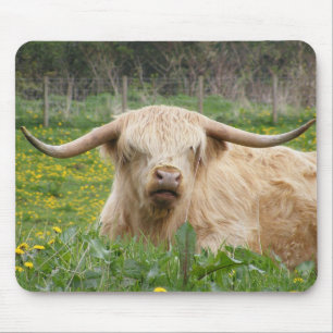 Scottish Highland Cow Mouse Pad
