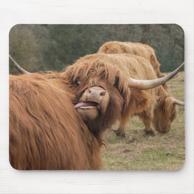 Scottish Highland cow Mouse Pad (Front)