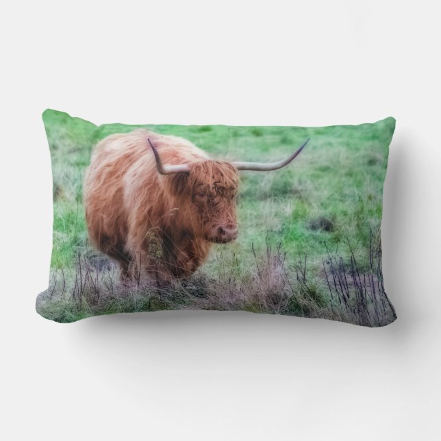 Scottish Highland cow pillow (Front)