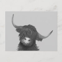 Scottish Highland Cow