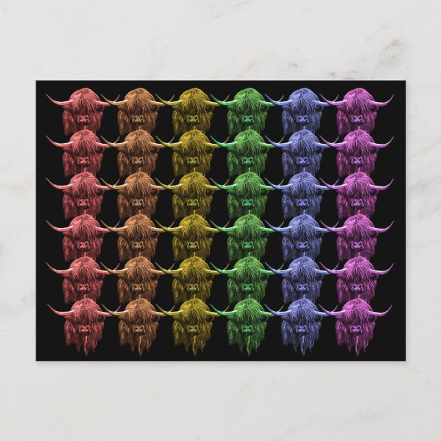 Scottish Highland Cow Postcard (Front)