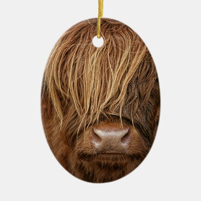 Scottish Highland Cow - Scotland Ceramic Tree Decoration (Front)