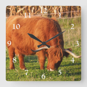 Scottish Highland Cow Square Wall Clock