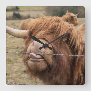 Scottish Highland cow Tile Square Wall Clock